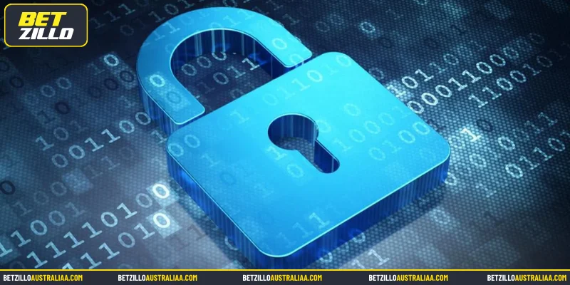 Concept of the Betzillo Privacy Policy